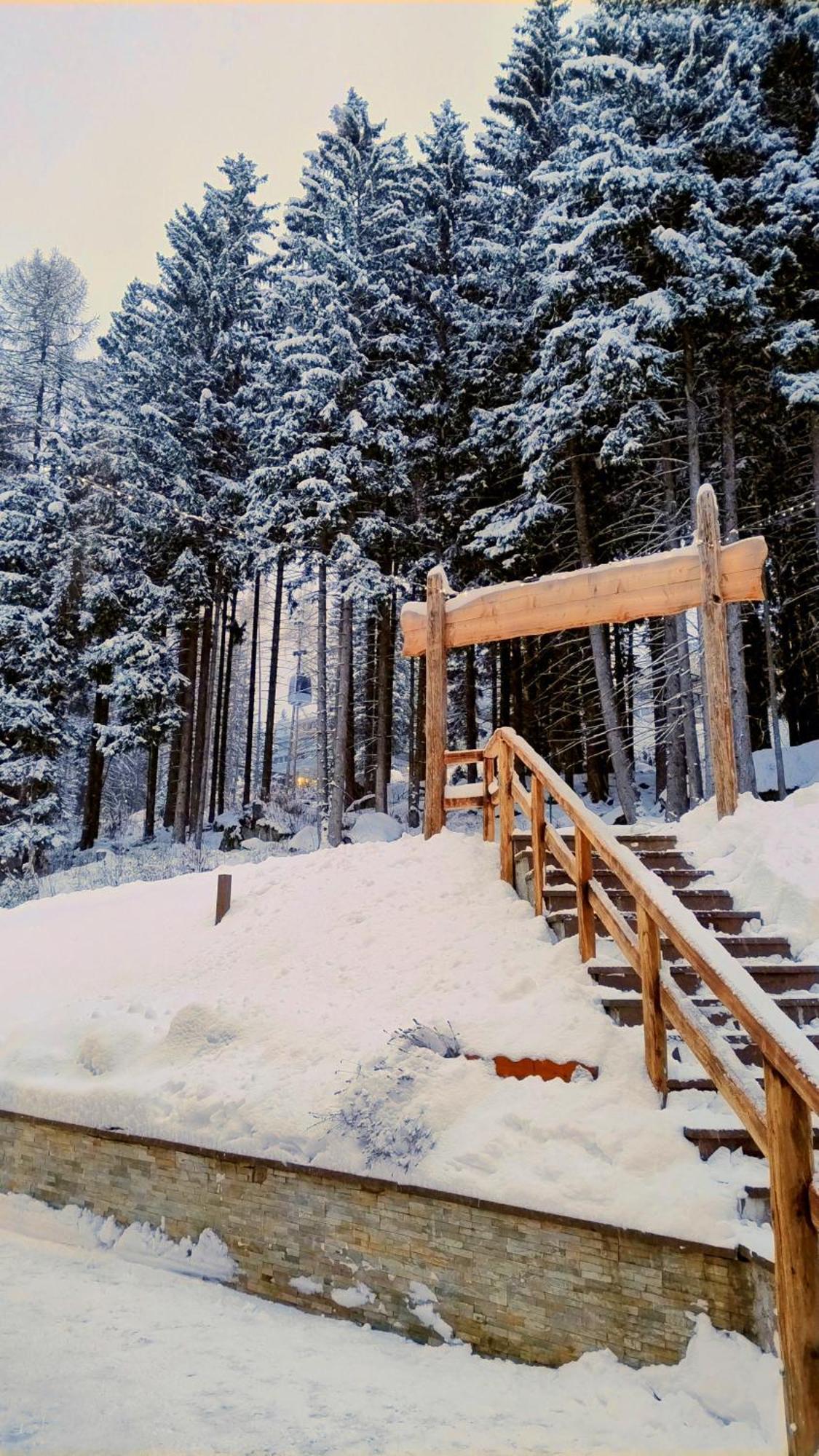 Ale 1206, Marilleva 1400 Accesso Diretto Alle Piste Zewnętrze zdjęcie